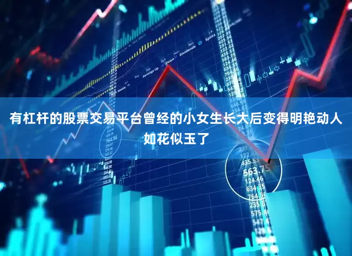 有杠杆的股票交易平台曾经的小女生长大后变得明艳动人如花似玉了