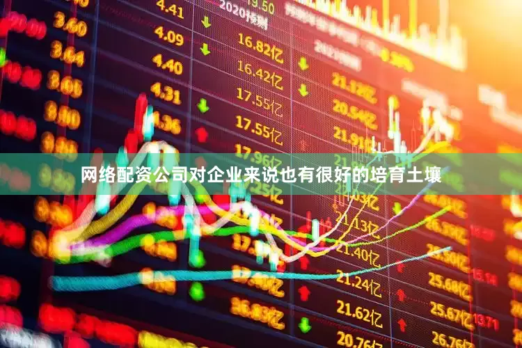 网络配资公司对企业来说也有很好的培育土壤