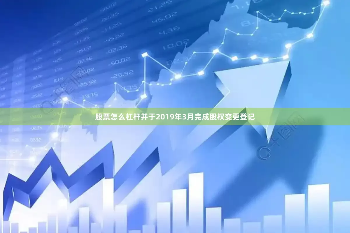 股票怎么杠杆并于2019年3月完成股权变更登记